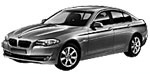 BMW F10 P20A5 Fault Code